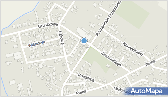 411119295, Mateusz Dworzyński 