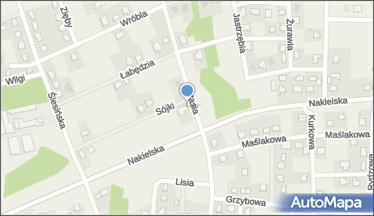 5541003975, Firma 