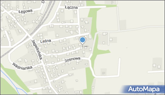 5531117789, Firma Transportowo - Usługowa 