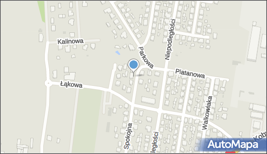 Grzegorz Pawlak Zakład Stolarski, Kwiatowa 5, Miejska Górka 63-910 - Budownictwo, Wyroby budowlane, NIP: 6991240457