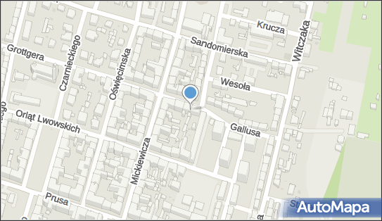 270250704, Hora Mariusz 