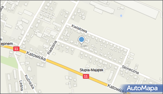 6191884963, Jakub Michalczyk MW Trading ul.Słoneczna 9, Słupia P/Kępnem, 63-604 Baranów 