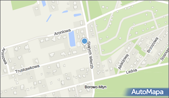 Łakomy Natasza Drogmel Plus, ul. Starych Wierzb 17, Borowo-Młyn 62-007 - Budownictwo, Wyroby budowlane, NIP: 7822056444