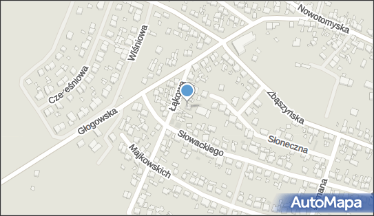 9950042265, 