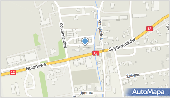 Miszkiewicz Zbyszek Termochron Specjalistyczny Zakład Usługowy 64-100 - Budownictwo, Wyroby budowlane, NIP: 6971008817