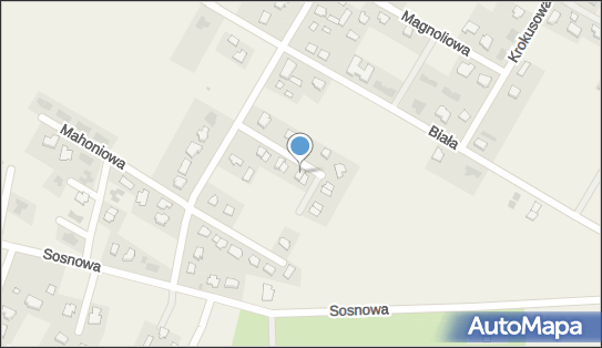 8621551930, Net Tomasz Moskal 