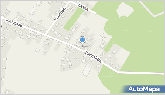 9231331210, Murarstwo Kazimierz Lepka , Kębłowo 