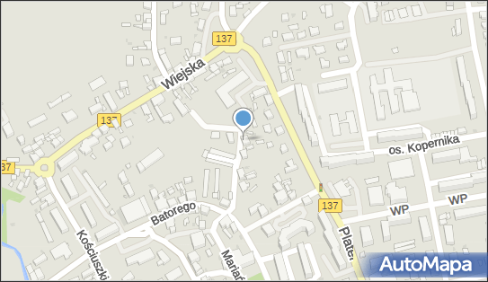 5960010313, Zakład Usługowo-Remontowy Paweł Domaszewicz 