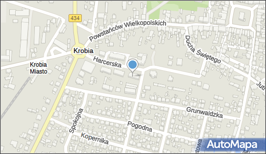 Paweł Ptak Zakład Ogólnobudowlany, Harcerska 3, Krobia 63-840 - Budownictwo, Wyroby budowlane, NIP: 6961718960