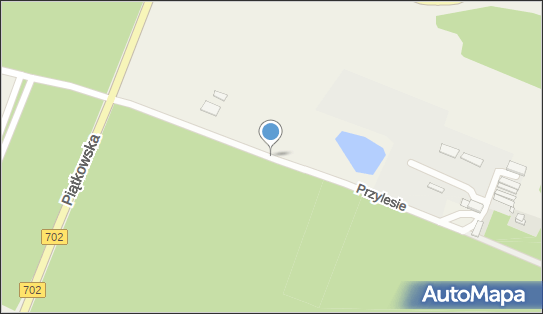 7321885230, Piotr Adamczewski Loczek 