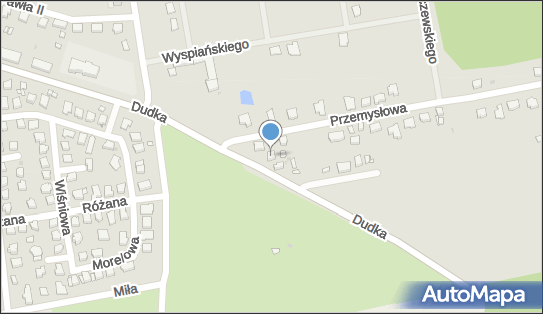 9251770384, Piotr Najdek 