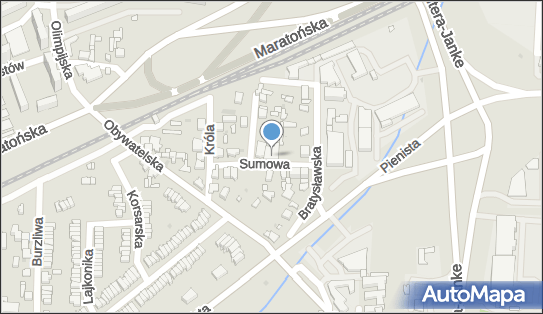 101529745, PPHU 