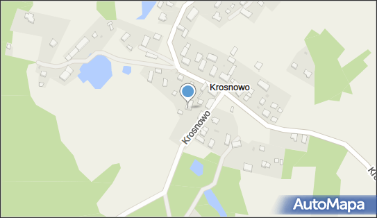 8421540100, Grzegorz Wojewski, 