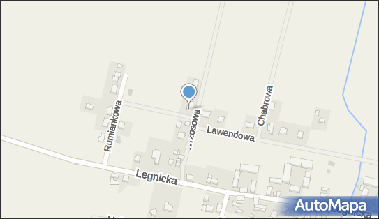 6911700461, Przedsiębiorstwo Handlowo Usługowe Dorota Gresiuk 