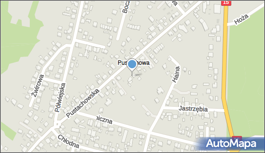 Przedsiębiorstwo Handlowo Usługowe El Dro, Pustachowska 17 62-200 - Budownictwo, Wyroby budowlane, NIP: 7841509065
