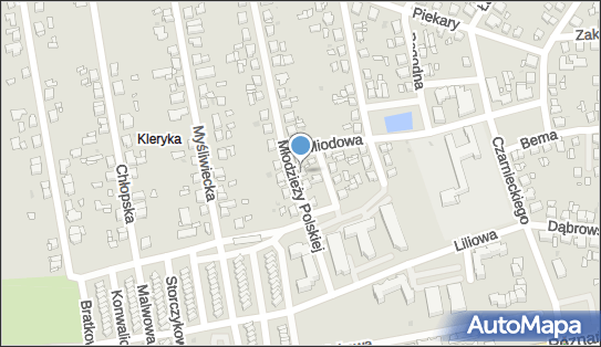 Przedsiębiorstwo Usług Budowlanych Damian Orłowski, Gniezno 62-200 - Budownictwo, Wyroby budowlane, NIP: 7841184491