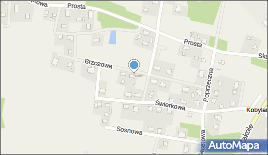 Przedsiębiorstwo Usługowo - Handlowe Piotr Boiński, Kobylarnia 86-061 - Budownictwo, Wyroby budowlane, NIP: 5561609095
