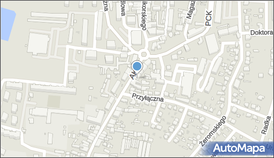 9730673259, RS Professionals Radosław Surdyk 