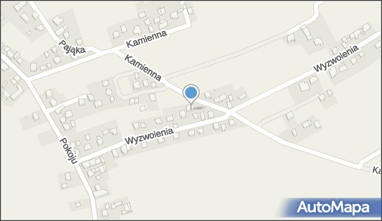 6381571919, Usługi Ciesielskie - Białas Leszek 