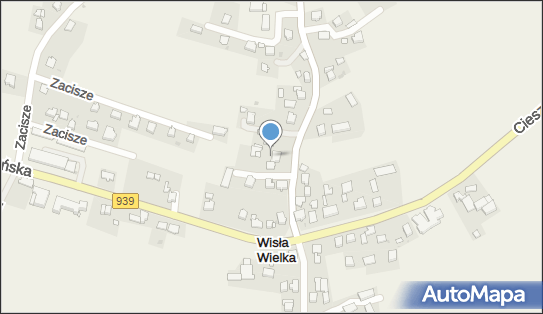 272466650, Widera Leszek 