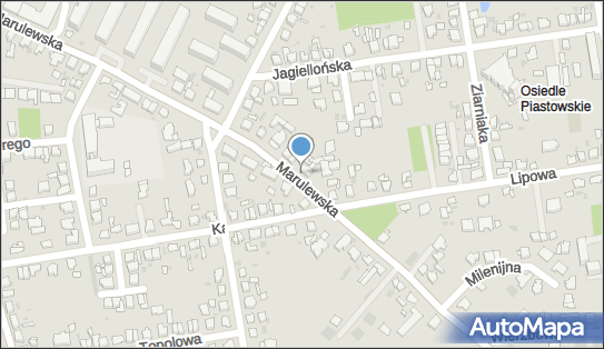 5562428556, Wielobranżowa Firma 