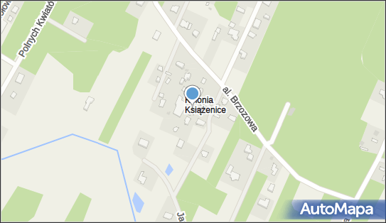 016251008, Witas Krystyna Agnieszka Firma Handlowo-Usługowa 