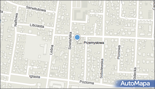 5420113676, Zakład Instalatorstwa Gazowego Instalatorstwa Sanitarnego i C.O., Usługi Kominiarskie Henryk Kulesza 