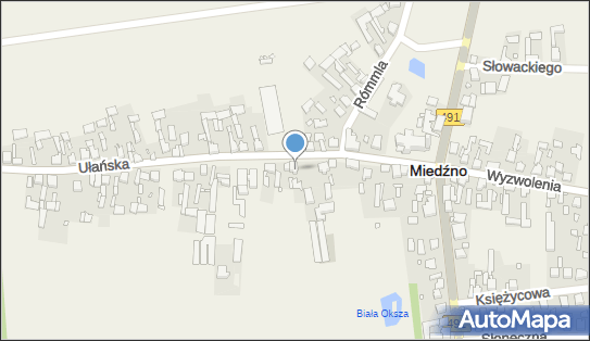 Zakład Murarsko Tynkarski, Ułańska 19, Miedźno 42-120 - Budownictwo, Wyroby budowlane, NIP: 5741100594