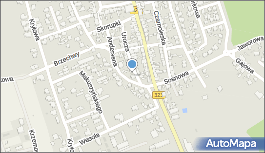 Zakład Ogólnobudowlany Leszno, Urocza 14, Leszno 64-100 - Budownictwo, Wyroby budowlane, NIP: 6971093970