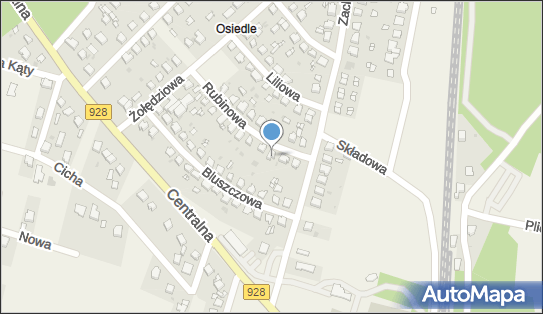 6461914965, Gorgon Bogdan, Zaklad Remontowo-Budowlany 