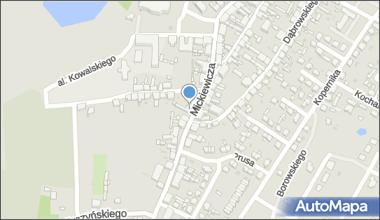 Zakład Usług Elektroinstalacyjnych, ul. Adama Mickiewicza 12 62-240 - Budownictwo, Wyroby budowlane, numer telefonu, NIP: 5571071510