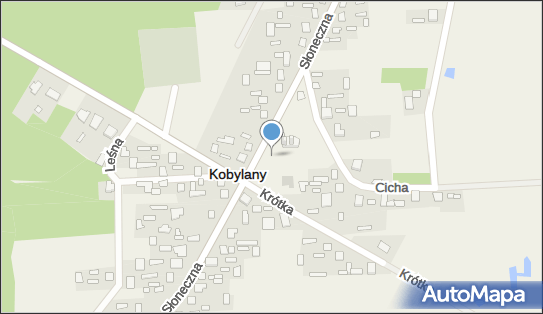 Opieki Matki Bożej, Słoneczna, Kobylany 21-540 - Cerkiew, numer telefonu
