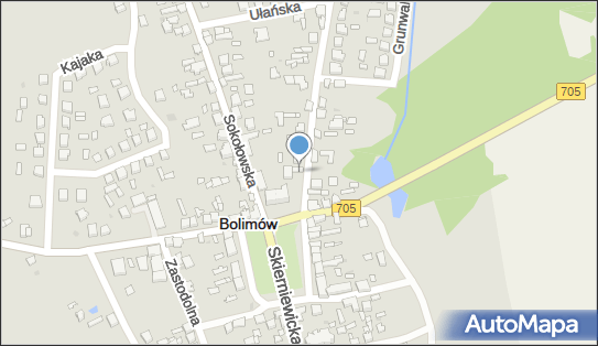Chorten - Sklep, Farna 1, Bolimów 99-417, godziny otwarcia