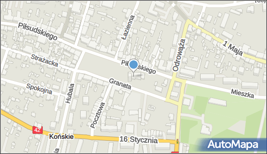 Kolegiata św.Mikołaja i Wojciecha, Granata Józefa, ks. 1 26-200 - Ciekawe miejsce