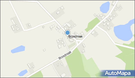 Lapidarium, Brzeźniak 13, Brzeźniak 73-155 - Ciekawe miejsce