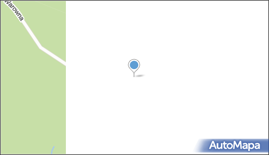 Mur historyczny, Srebrna Góra - Ciekawe miejsce