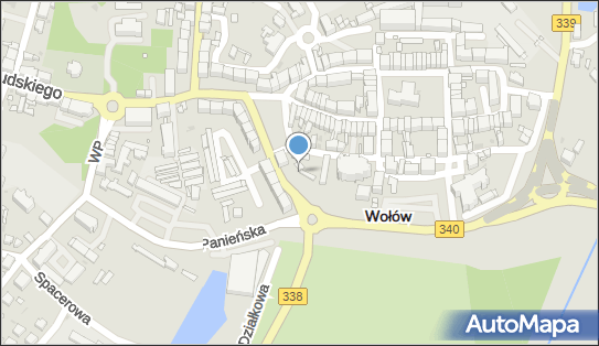 Mur historyczny, Korzeniowskiego Józefa340 5, Wołów 56-100 - Ciekawe miejsce