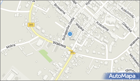 Mur historyczny, Grunwaldzka 26, Ziębice 57-220 - Ciekawe miejsce