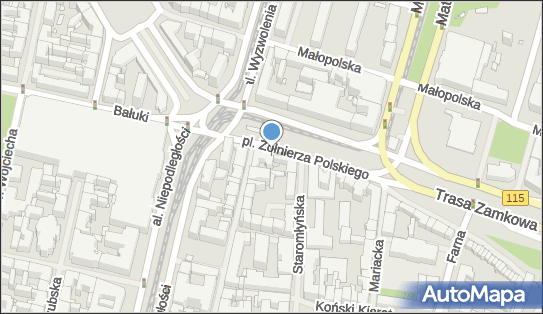Muzeum Narodowe i Klub 13 Muz, Plac Żołnierza Polskiego 2 70-551 - Ciekawe miejsce