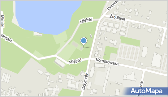 Park, Drzymały 11, Wolsztyn 64-200 - Ciekawe miejsce