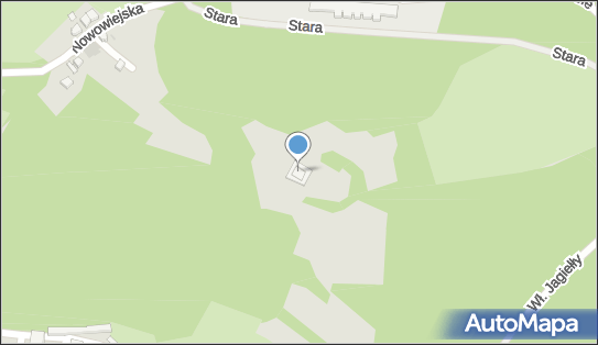 Pomnik ku czci Ślązaków., Króla Władysława II Jagiełły 58-301 - Ciekawe miejsce