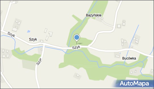 Choleryczny, Szyk, Szyk 34-620 - Cmentarz