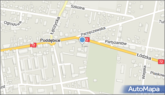 Cmentarz, Łódzka 37, Poddębice 99-200 - Cmentarz