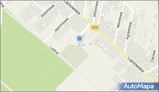 Cmentarz, Lipnowska 99, Maszewo Duże 09-400 - Cmentarz