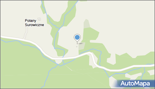 Historyczny greckokatolicki w Polanach Surowicznych - Cmentarz