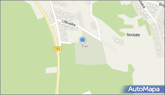 Parafialny w Kluczach, Olkuska 93, Klucze 32-310 - Cmentarz, numer telefonu