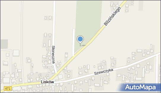 Parafialny w Liskowie, DW471, ks.Wacława Blizińskiego, Lisków 62-850 - Cmentarz, numer telefonu