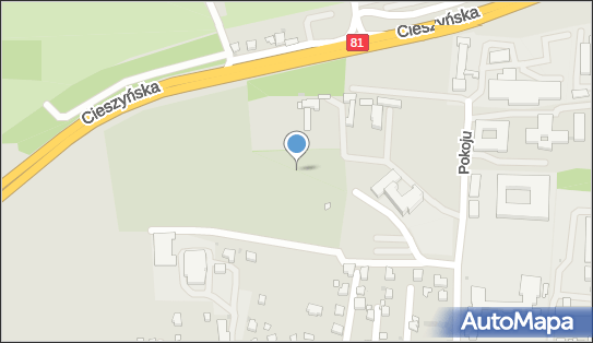 Parafialny w Mikołowie, pl. Salwatorianów, Mikołów 43-190 - Cmentarz, numer telefonu