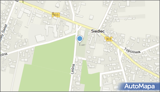 Parafialny w Siedlcu, Leśna / Wolsztyńska, Siedlec 64-212 - Cmentarz, numer telefonu