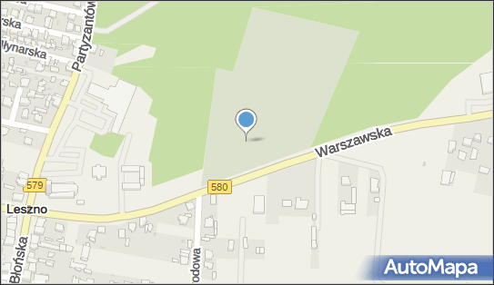 Parafialny, Warszawska 24E, Leszno 05-084 - Cmentarz